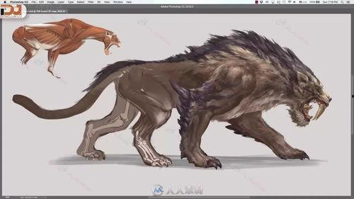 国产大鳄繁殖视频教程全集,视频教程全集深度解析