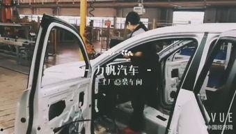 国产奇幻汽车视频,国产奇幻汽车惊艳亮相，科技与艺术的完美融合