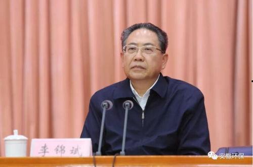 国产视频种子链接 下载,探索种子链接背后的精彩世界