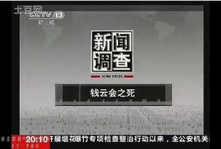 国产311图钉视频在线